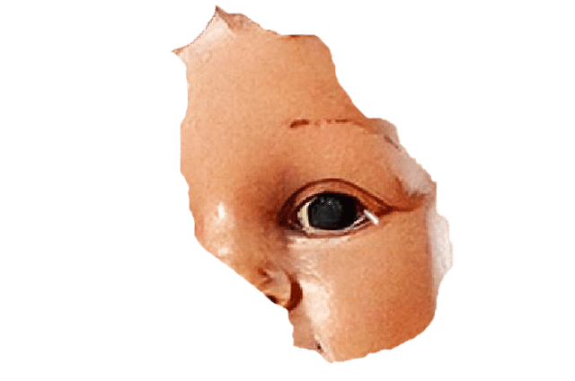 Hero image 6