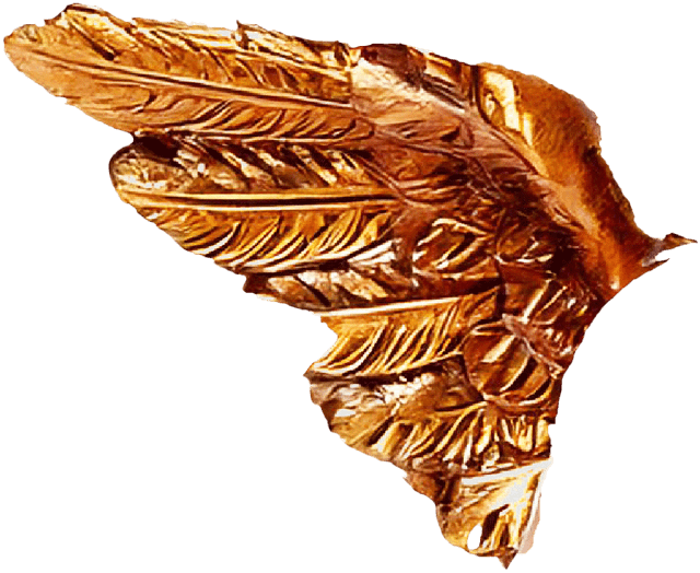 Hero image 1