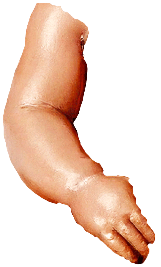 Hero image 5