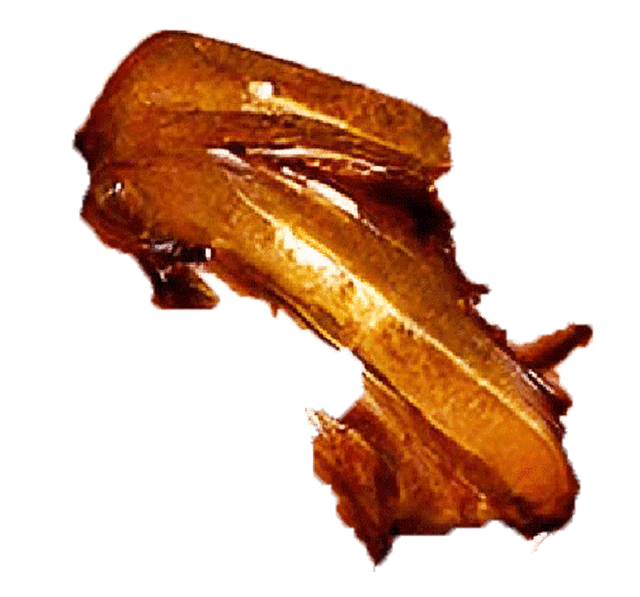 Hero image 4