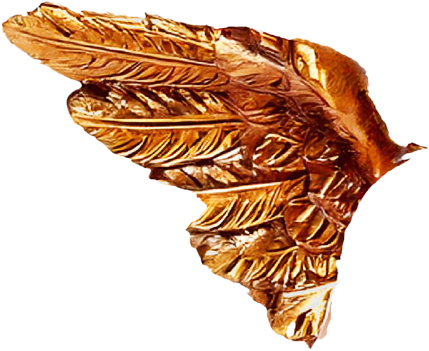 Hero image 1