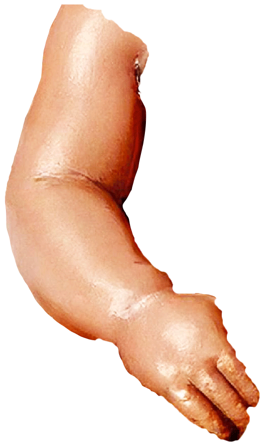 Hero image 5