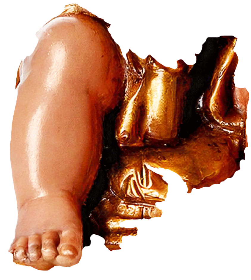 Hero image 8